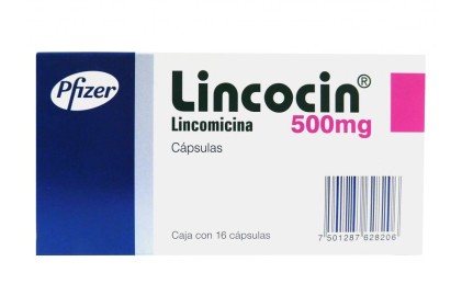 LINCOCIN LINCOMYCIN 500MG 16CAPS
